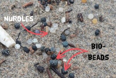 What are Bio-beads? - Surfers Against Sewage