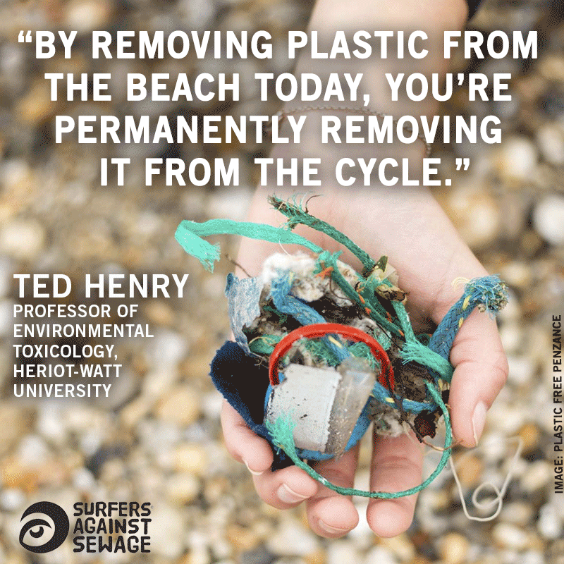 Removing plastic from the beach removes it from the ocean cycle.